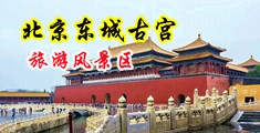 欧美老骚穴中国北京-东城古宫旅游风景区